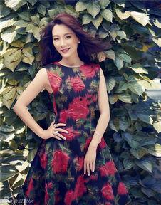 陈数最新爆料新闻报道,揭秘娱乐圈不为人知的幕后真相